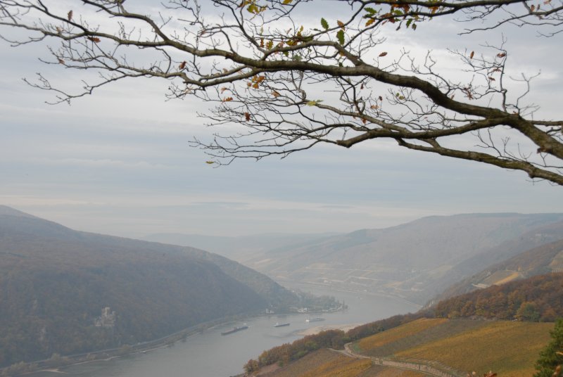Assmannshausen