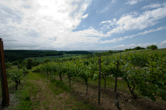 ASV   Weingut Kern less Tee 12 06 2010 011
