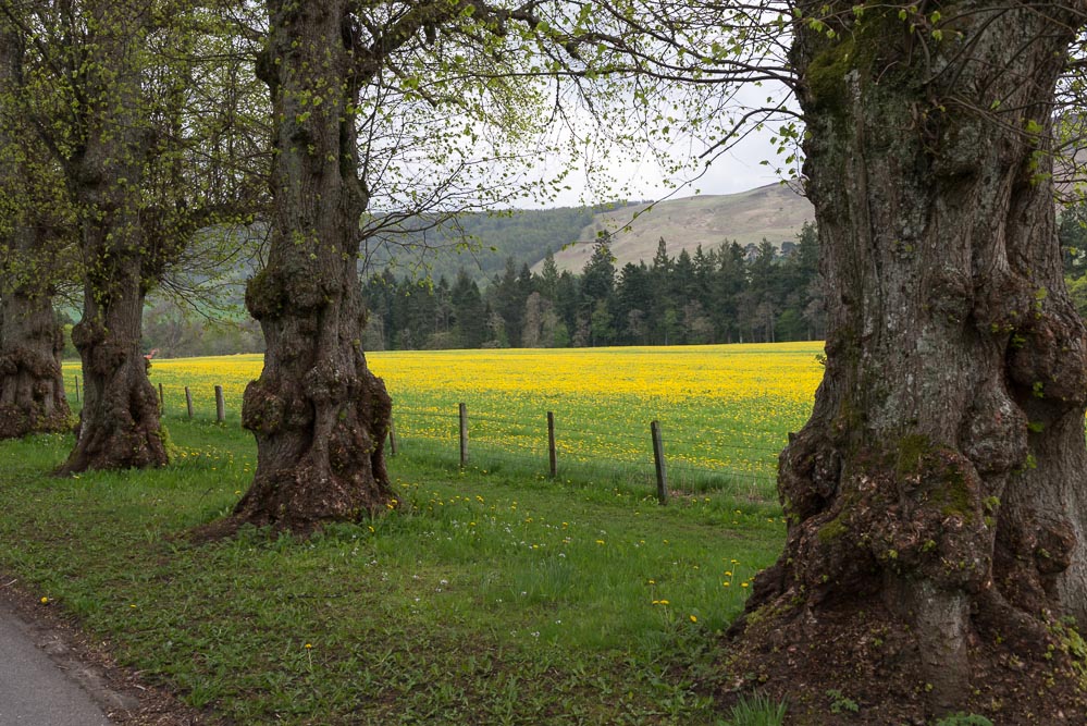 atholl 1 8