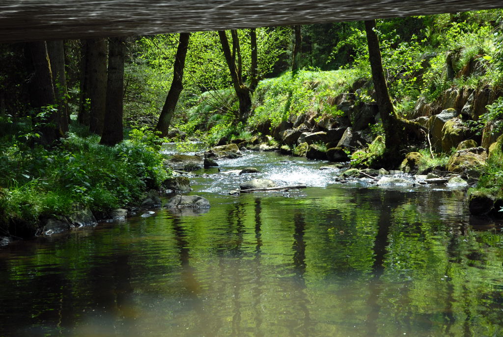 Aubach Brücke 01 komp