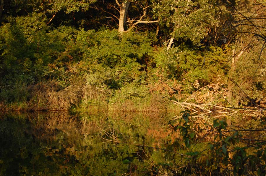 Auchau bei einem Fluss