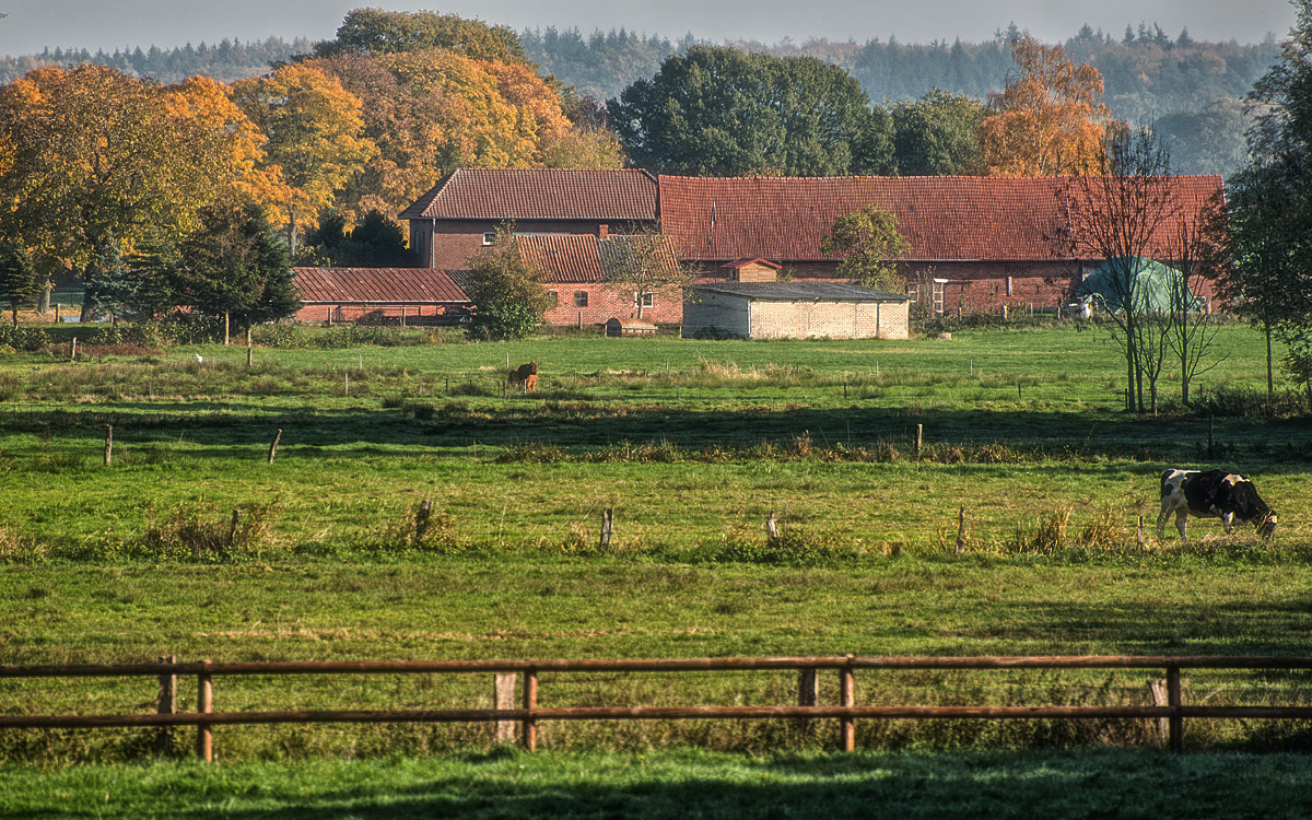 Auf dem Land