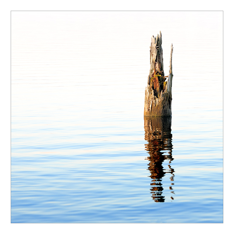 Auf dem See 12