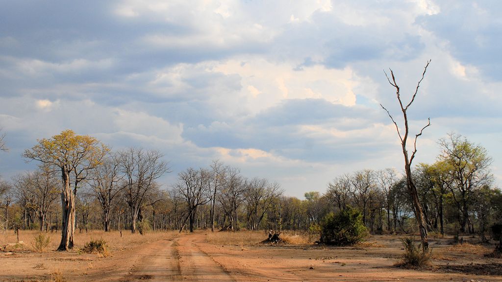 Auf dem Weg vom Nkawli Camp zum Luangwa
3598