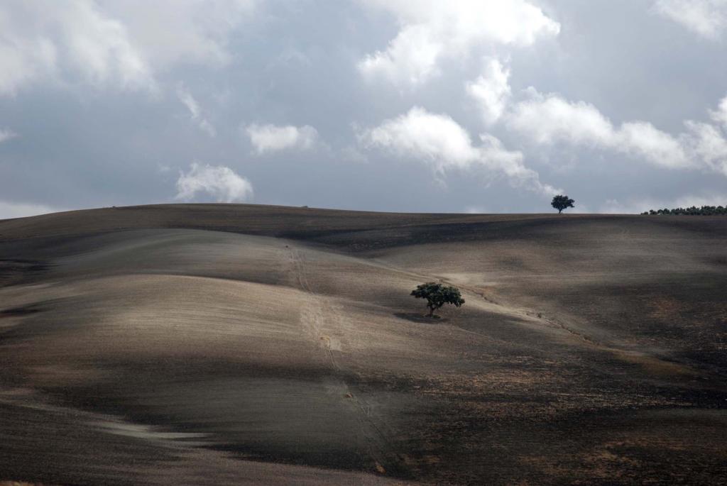 Auf dem Weg von Cordoba nach Ronda. Andalusien im Herbst.
