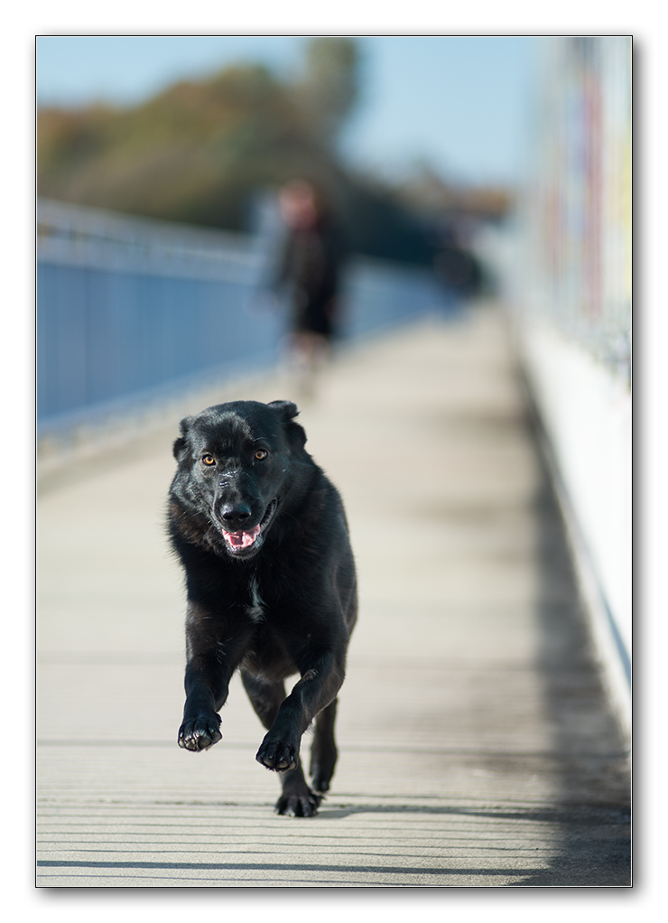 auf der brücke
