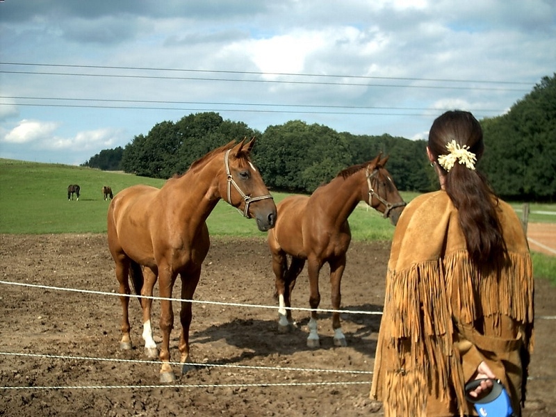 Auf der Ranch