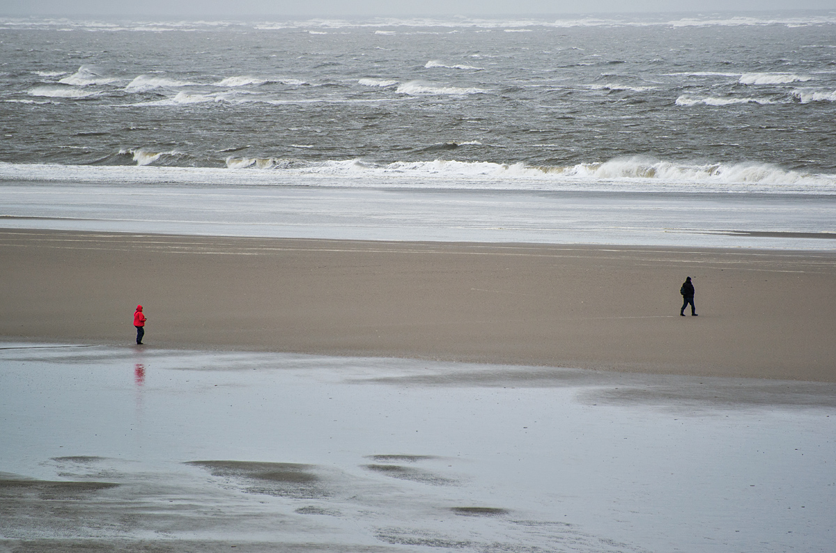 Auf der Sandbank