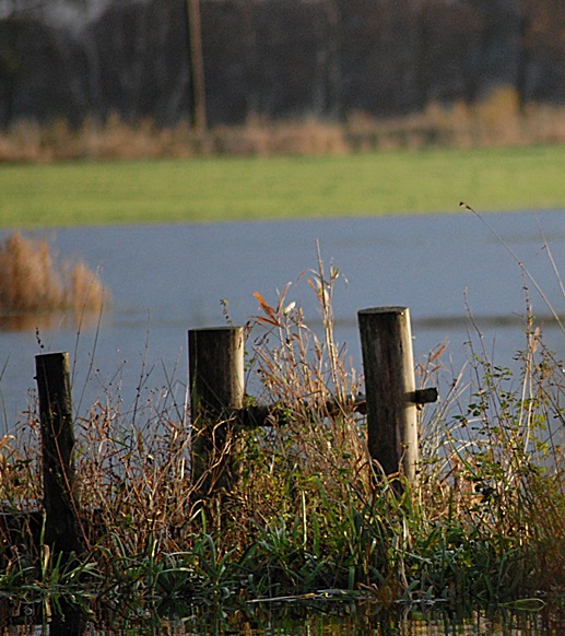 Auf die zugwiese 12.11.13 143