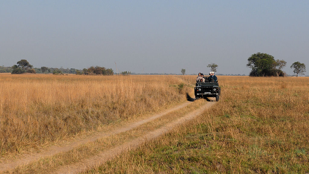 auf Safari in den Busanga Plains
2692