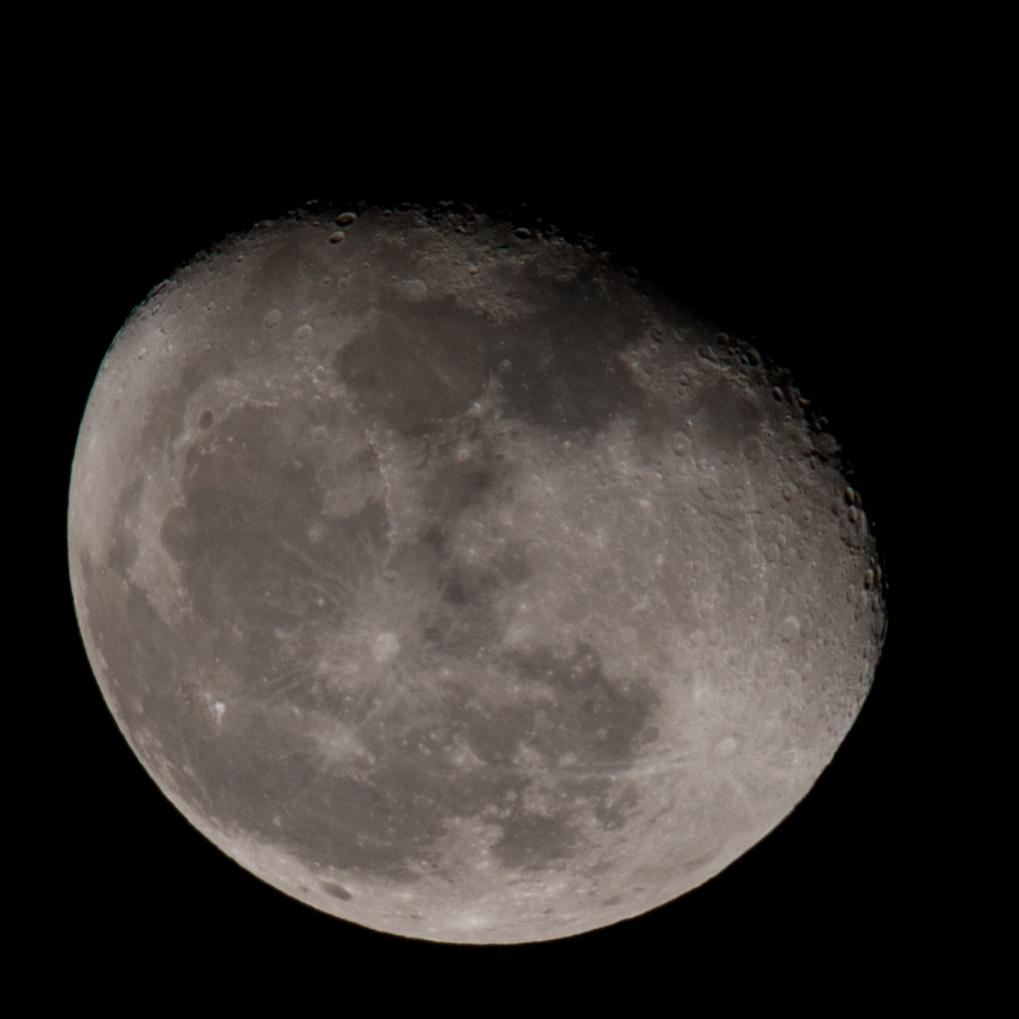 Aufgenommen mit D300s, Sigma 150-500mm @ 500mm, IS0 200, 1/125s, f11