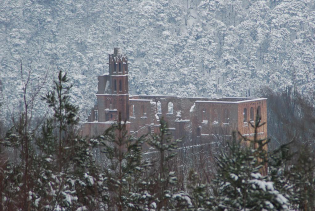 Aufnahme vom Ebersberg (Bad Dürkheim) auf die Klosterruine Limburg, ringsherum die schneebedeckten Tannen des Pfälzerwaldes