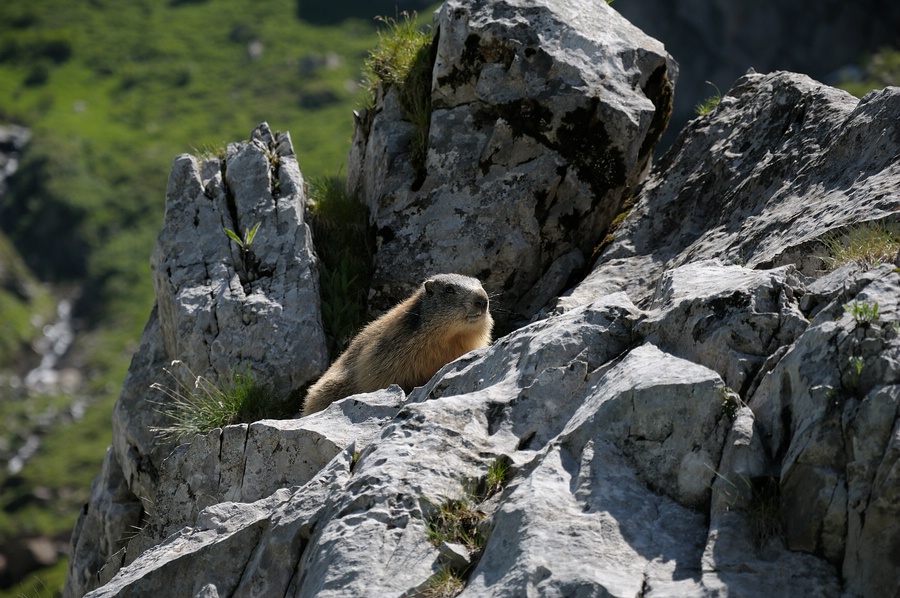 Aufstieg Wolayer See