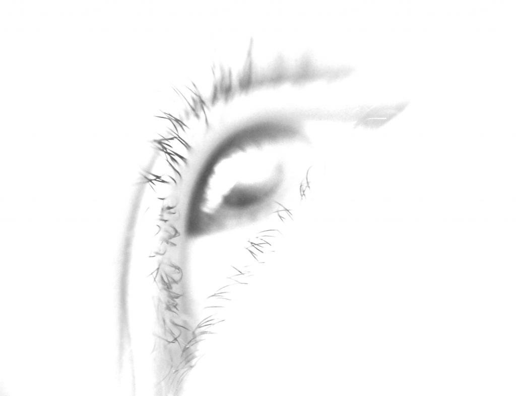 Auge