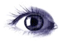Auge1