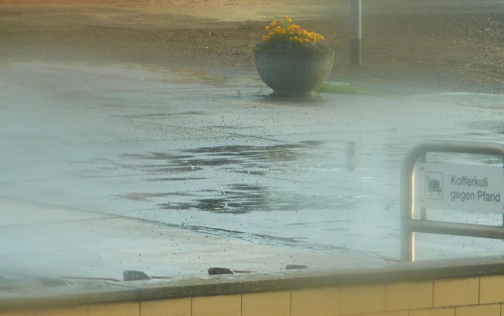 August 2010 / rainy days