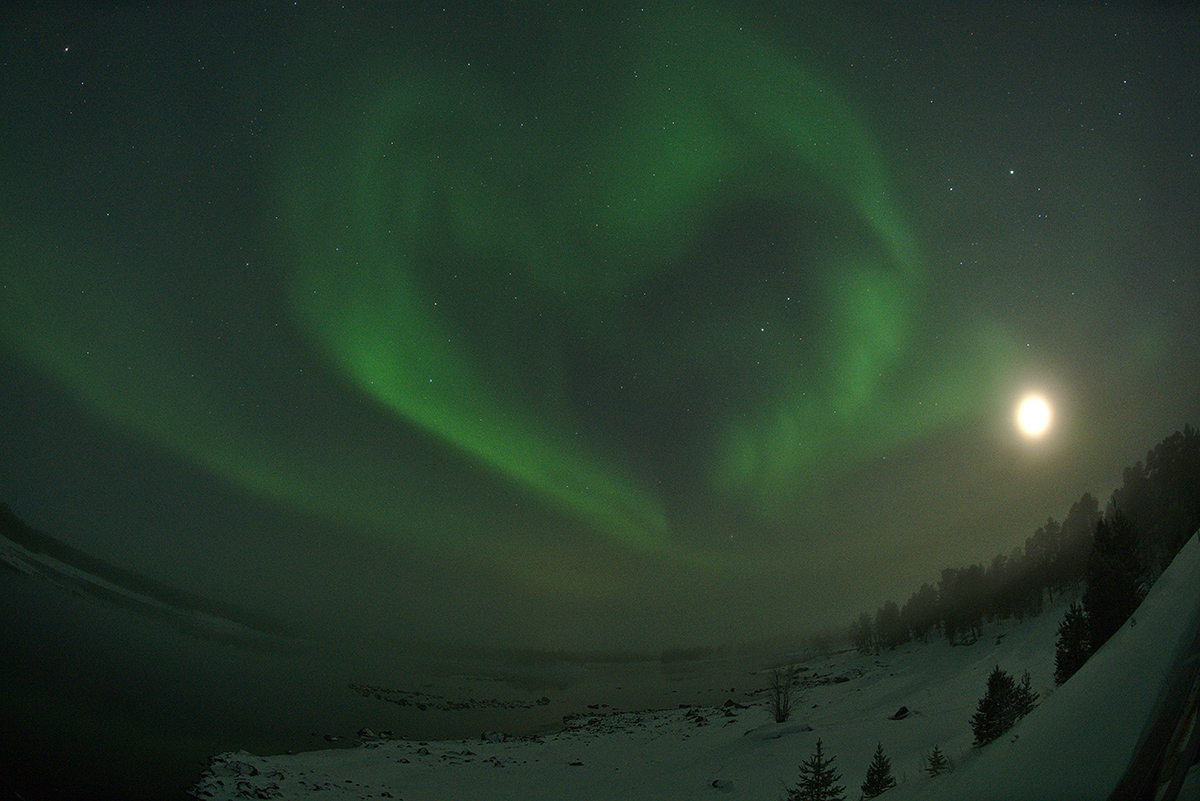 Aurora-Herz