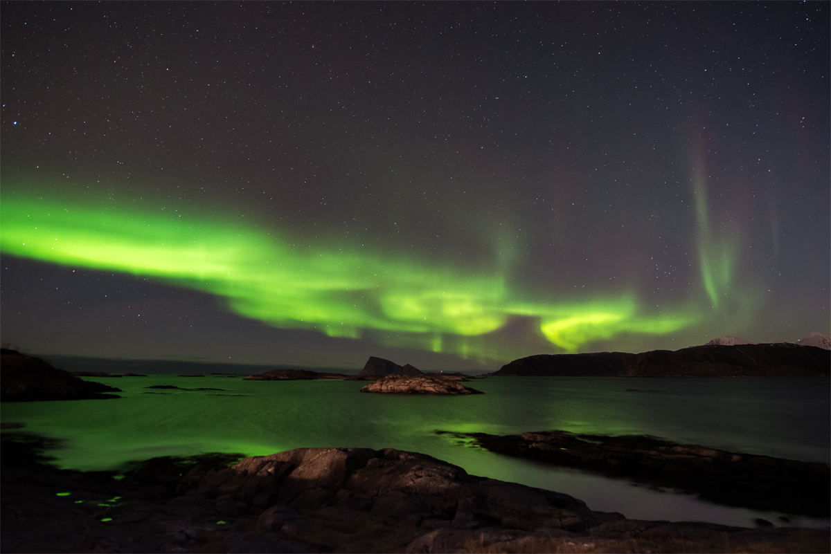 Aurora