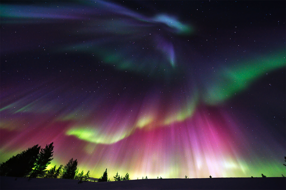 Auroras.jpg