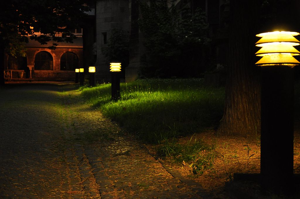 Aus erster Testreihe mit der D90.
Iso1000