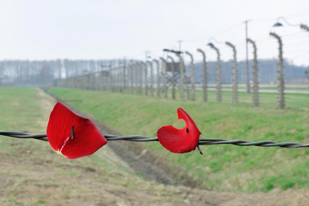 Auschwitz-Birkenau