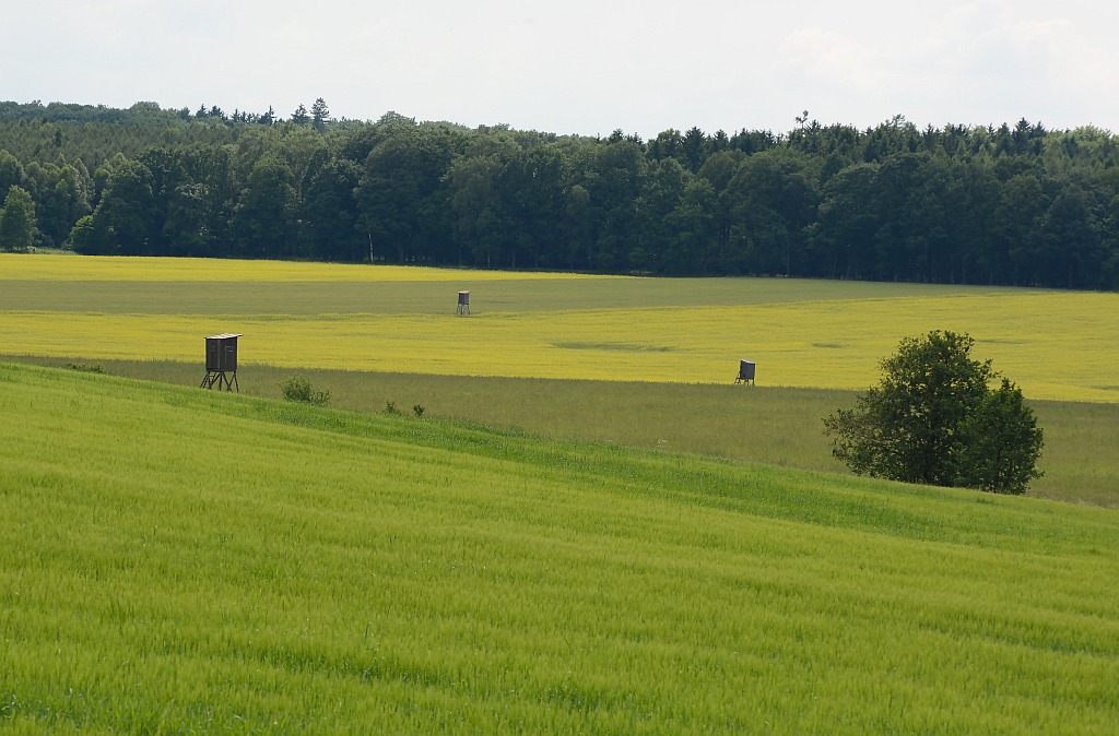 ausflug4