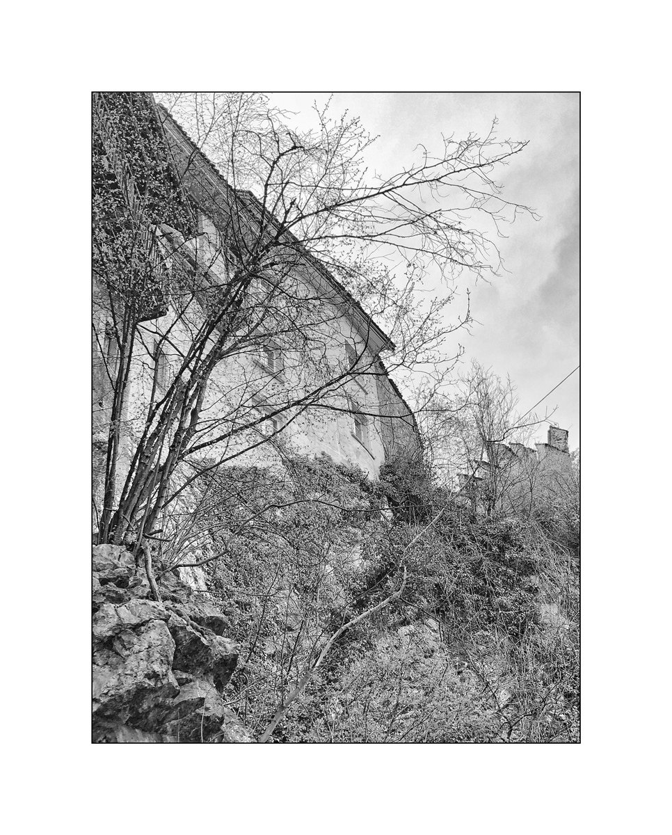 AusIMG 0297