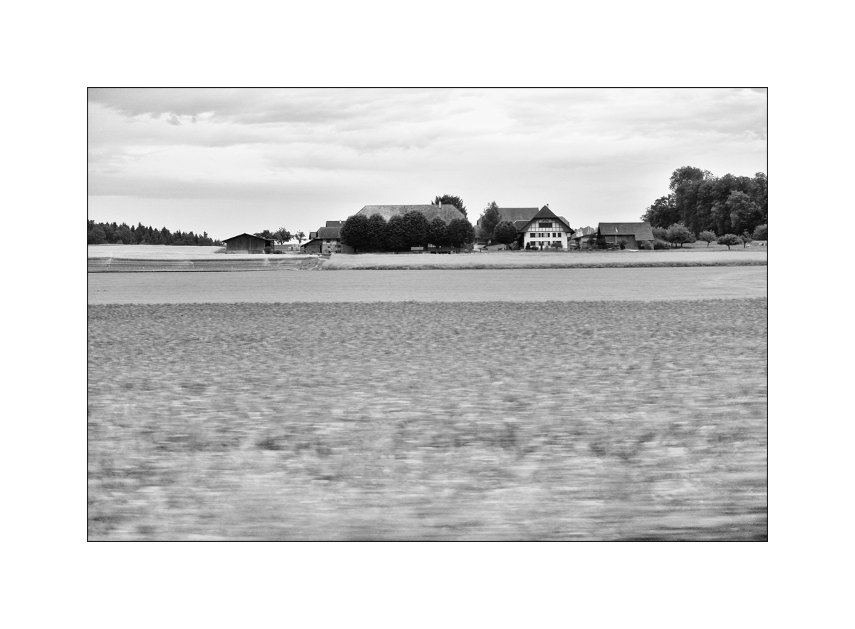 AusklangDSC 7267