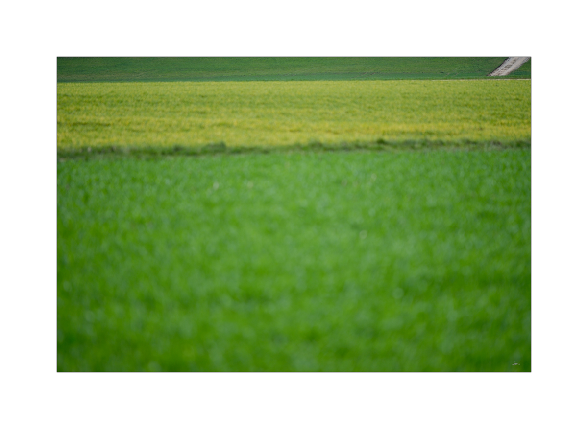 AusPZ1 5991
