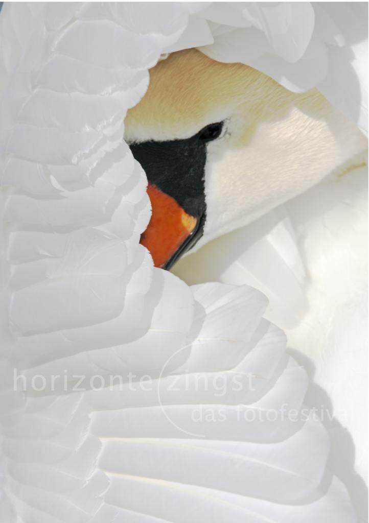 Ausstellung
Glanzlichter 2011

von Preisträger als Wettbewerb "Glanzlichter 2011"

20.08-02.10.2011
