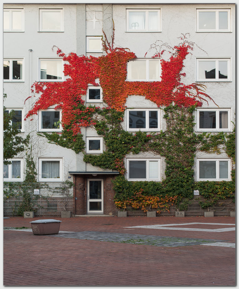Autumn 2nd Floor