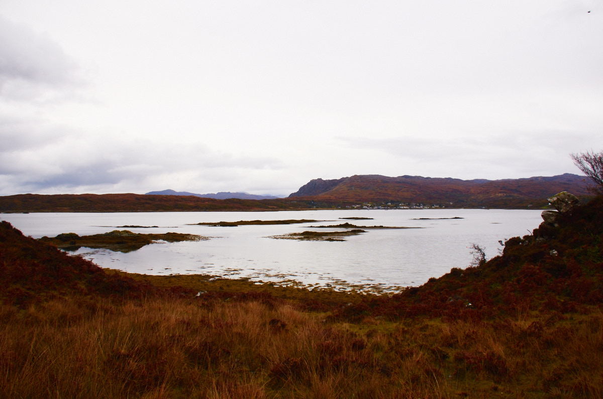 Autumn near Arisaig II
