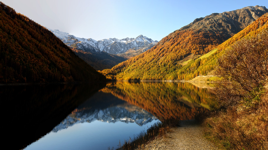 autumn