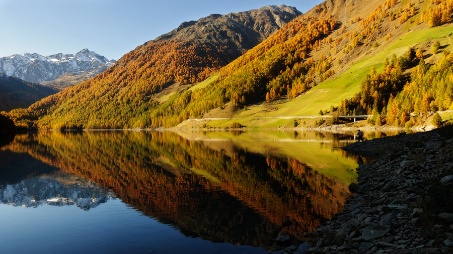autumn2