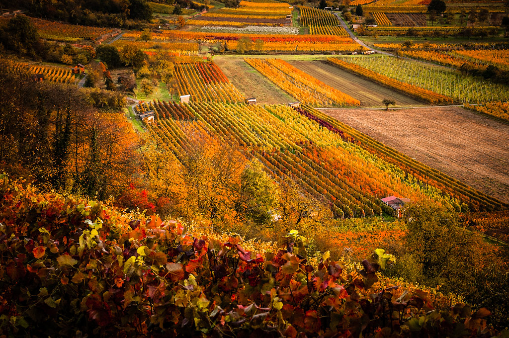 Autumn_01