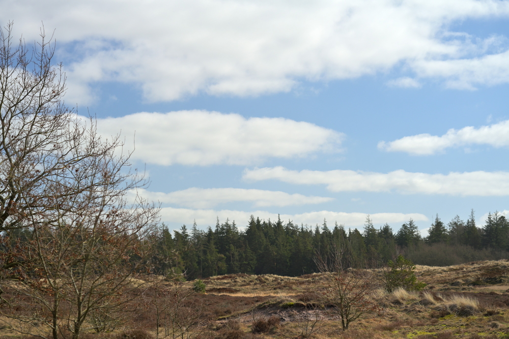 AZ7_0903.jpg