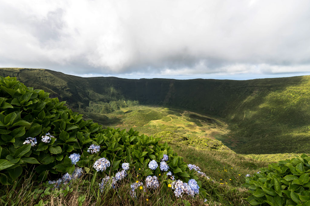 azoren faial 1