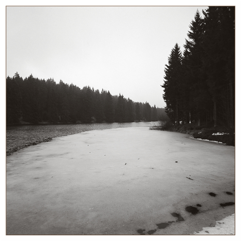 Bärenbrucher Teich