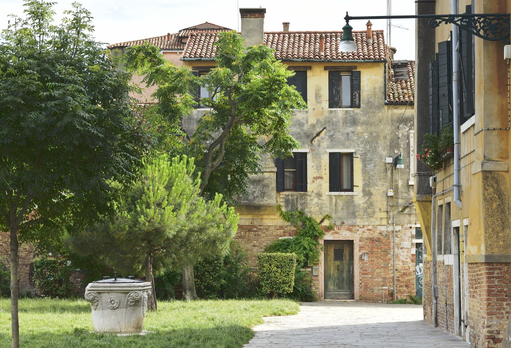 Bäume in Venedig 2