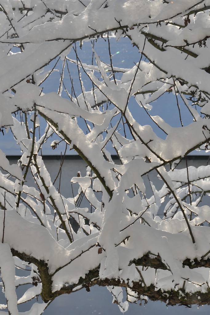 Büroausblick im Winter

D5000 / Nikkor 18-105 VR

92.0mm / f/10.0 / 0.0025s (1/400) / ISO 200