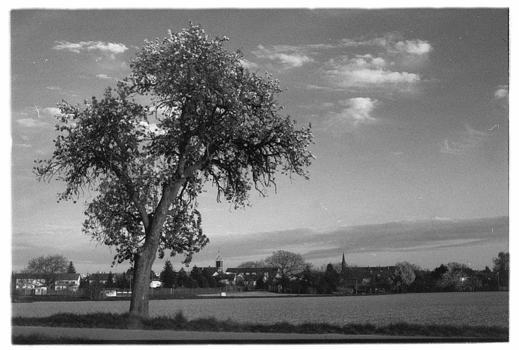 B&amp;W Orange 040 (4x)