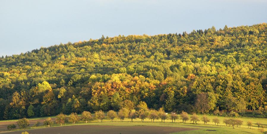 b web Herbst 017