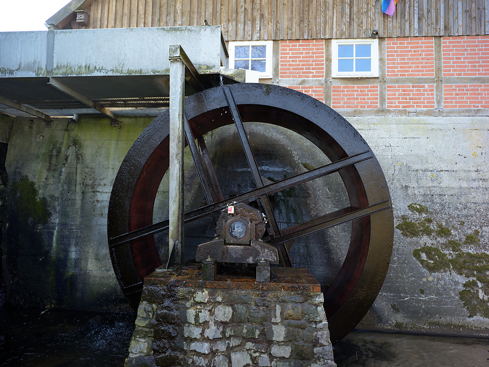 B0000717.jpg