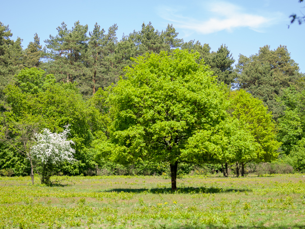 B0004626.jpg
