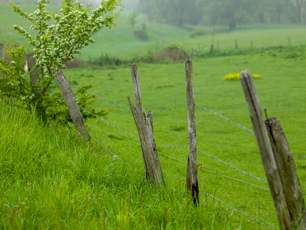 B0006356.jpg
