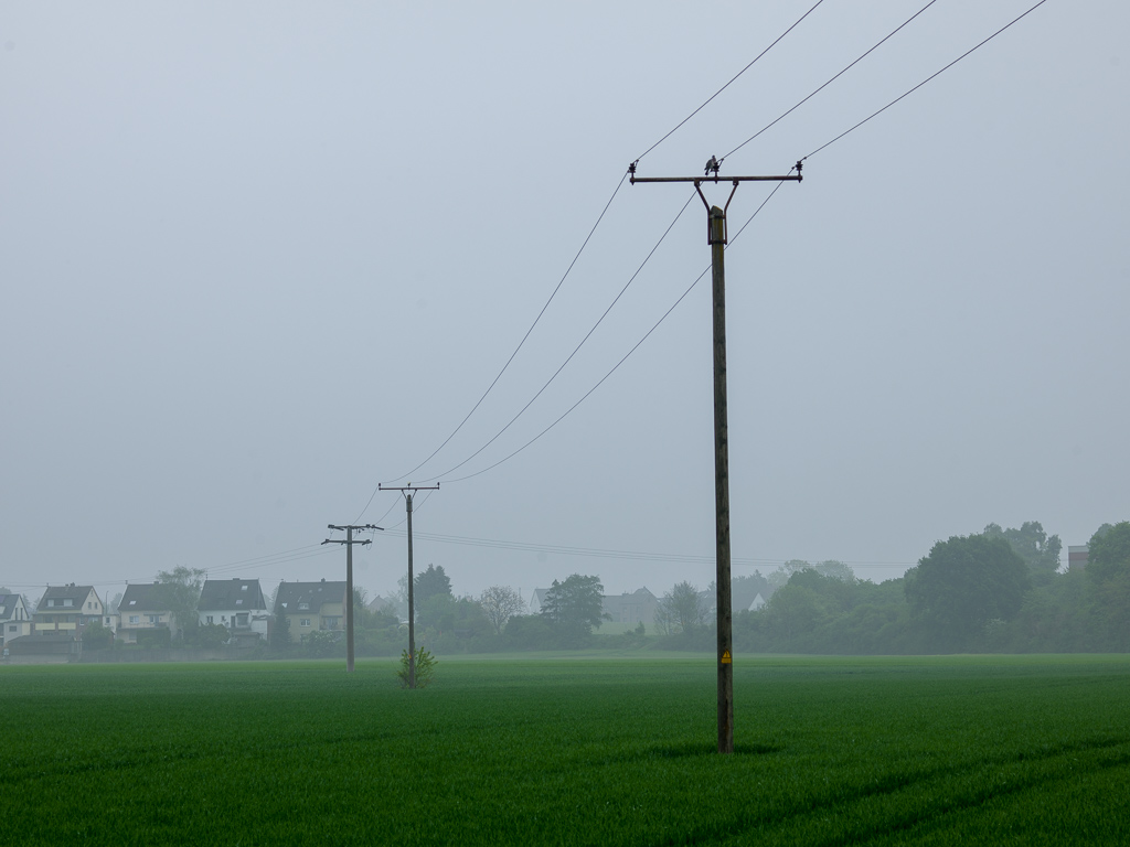 B0006361.jpg