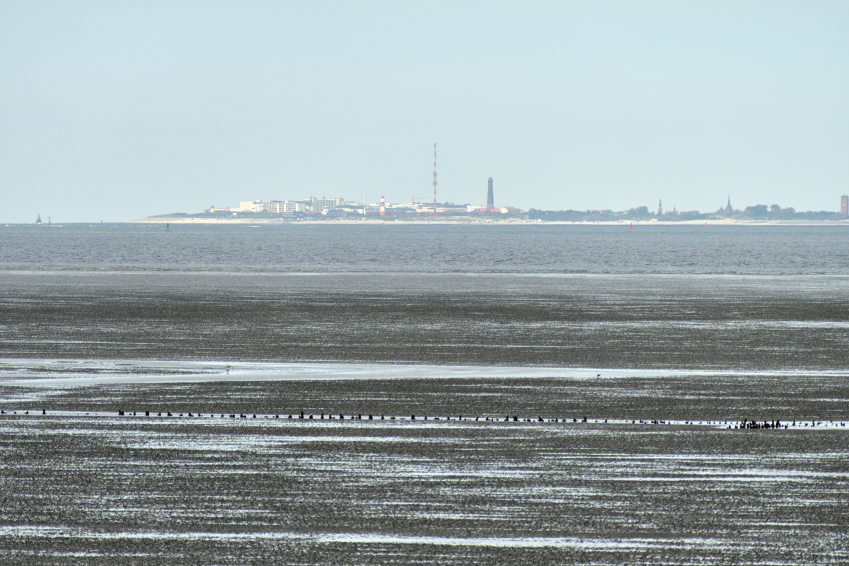 b20200516_133039nf.jpg