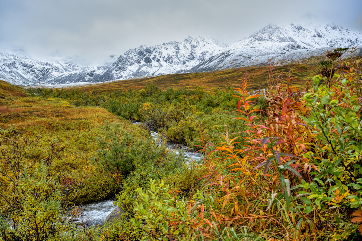 Bach Hatcher Pass.jpg
