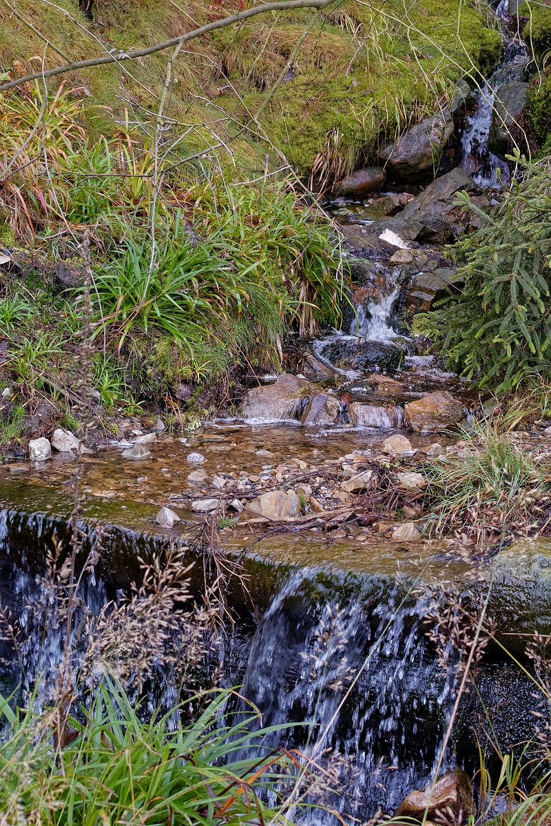 Bachlauf im Harz