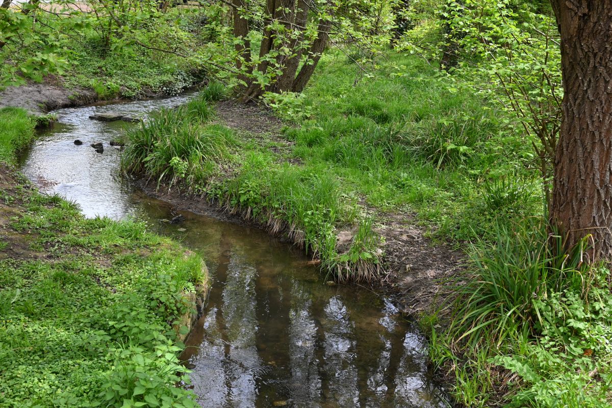 Bachlauf Z fc 28mm.jpg